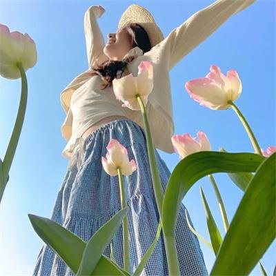 古墓夺宝