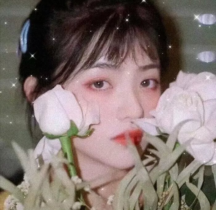 红盾先锋